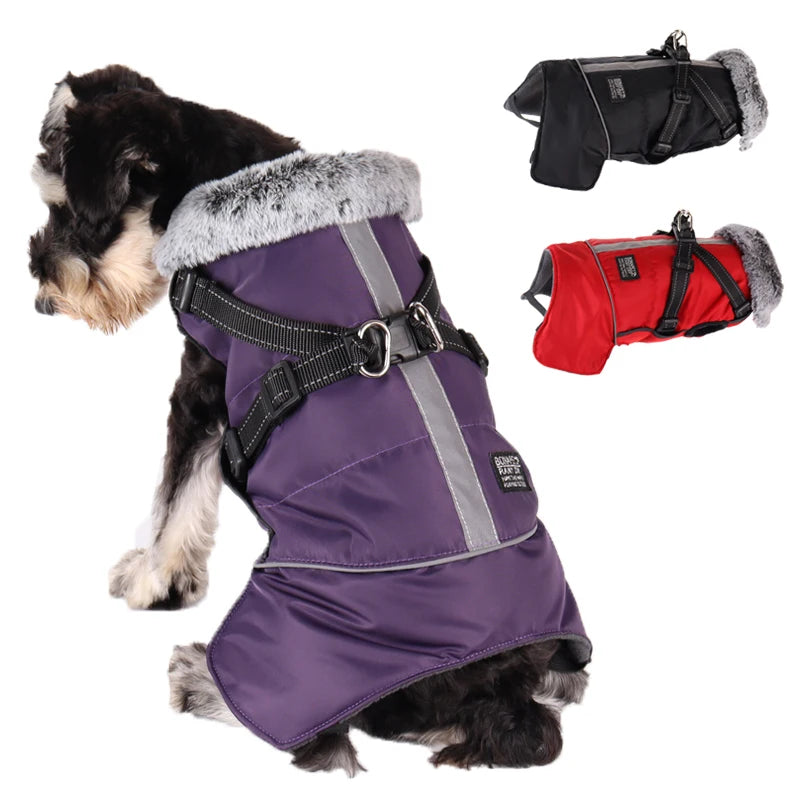 Winter Waterproof Dog Jacket With Harness.