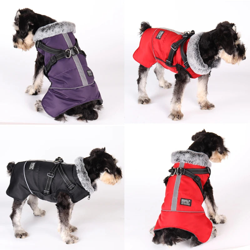 Winter Waterproof Dog Jacket With Harness.