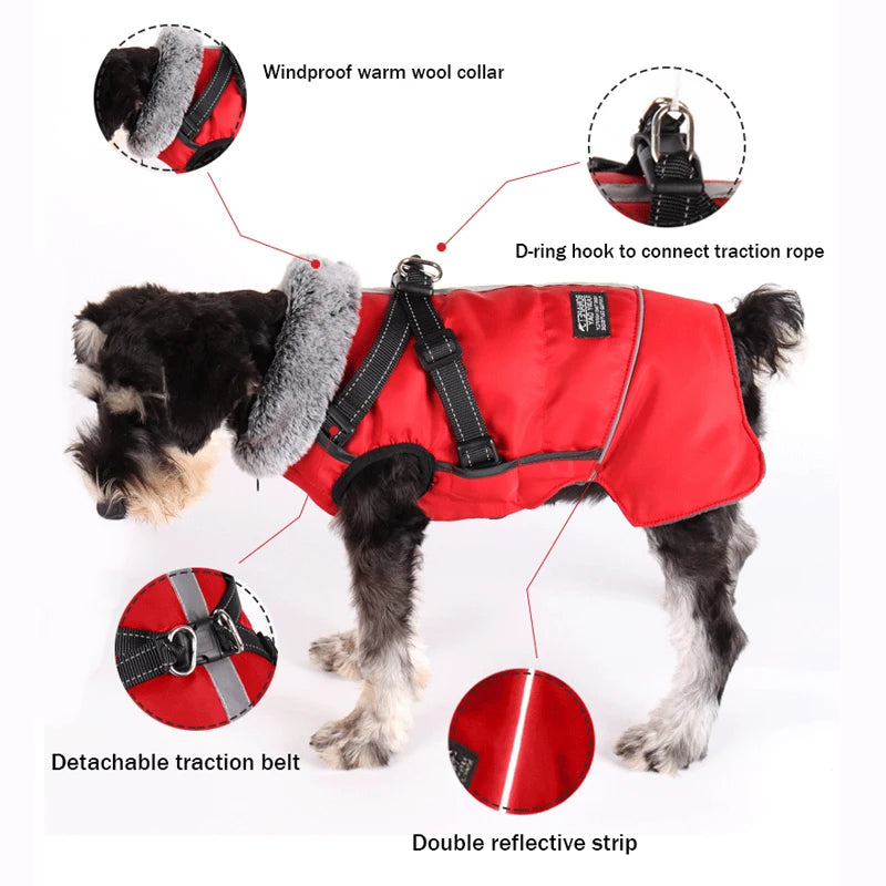 Winter Waterproof Dog Jacket With Harness.