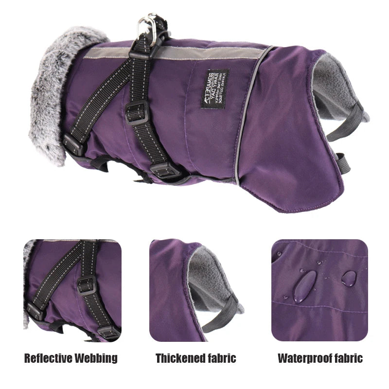 Winter Waterproof Dog Jacket With Harness.